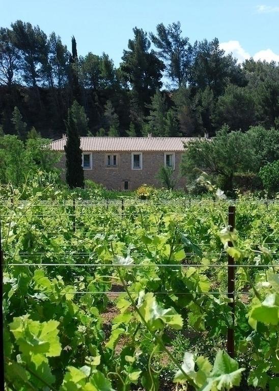 Bed and Breakfast Domaine De "Creva-Tinas" Mailhac Exterior foto